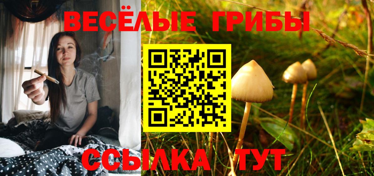 Псилоцибиновые грибы мицелий  что такое   Фрязино  Вход с VPN 
