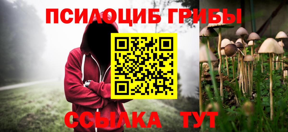 Псилоцибиновые грибы прущие грибы Фрязино